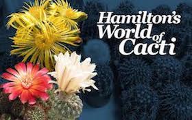 Hamilton's World of Cacti